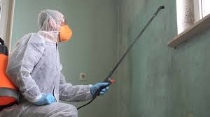 Best Commercial Mold Inspection  in St Joseph, IL